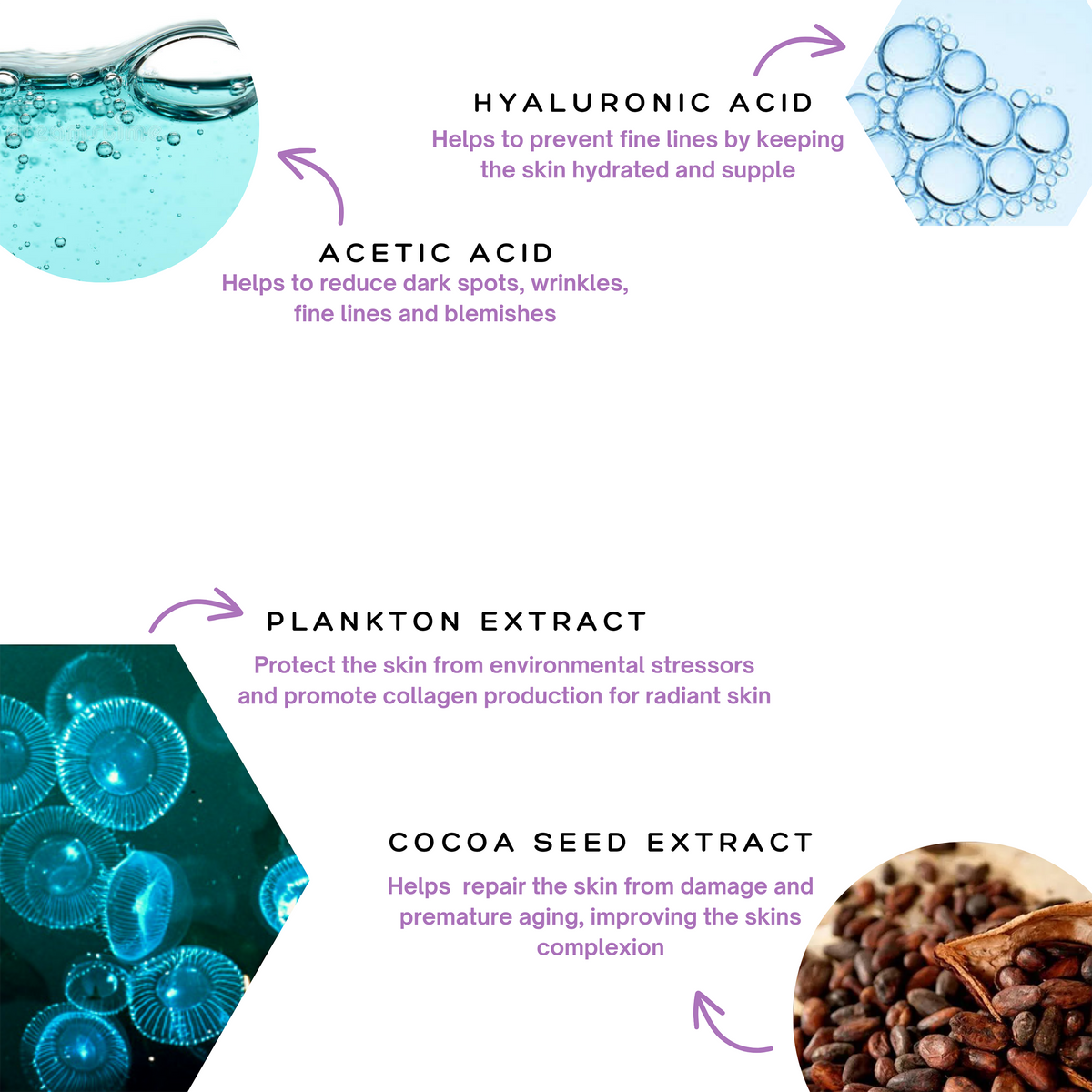 An educational graphic for the Spa Sciences Retinol Renewal Kit (Dry Skin) listing the benefits of hyaluronic acid, acetic acid, plankton extract, and cocoa seed extract alongside related imagery.