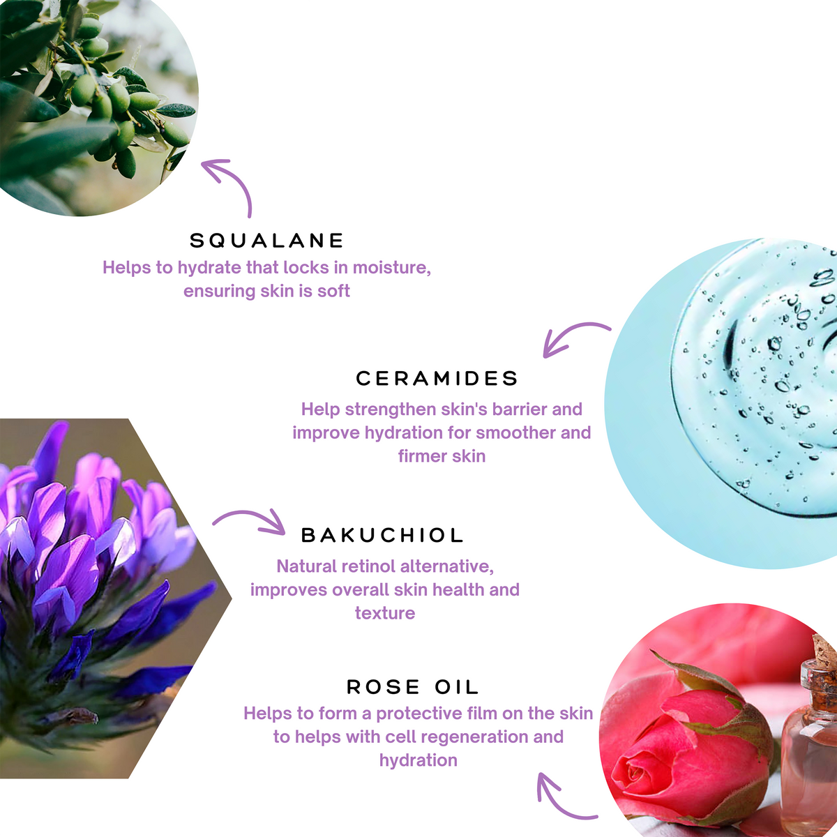 Spa Sciences Retinol Renewal Kit (Dry Skin) infographic featuring squalane, ceramides, bakuchiol, and rose oil, illustrated with an olive, a clear gel, a purple flower, and a rose.