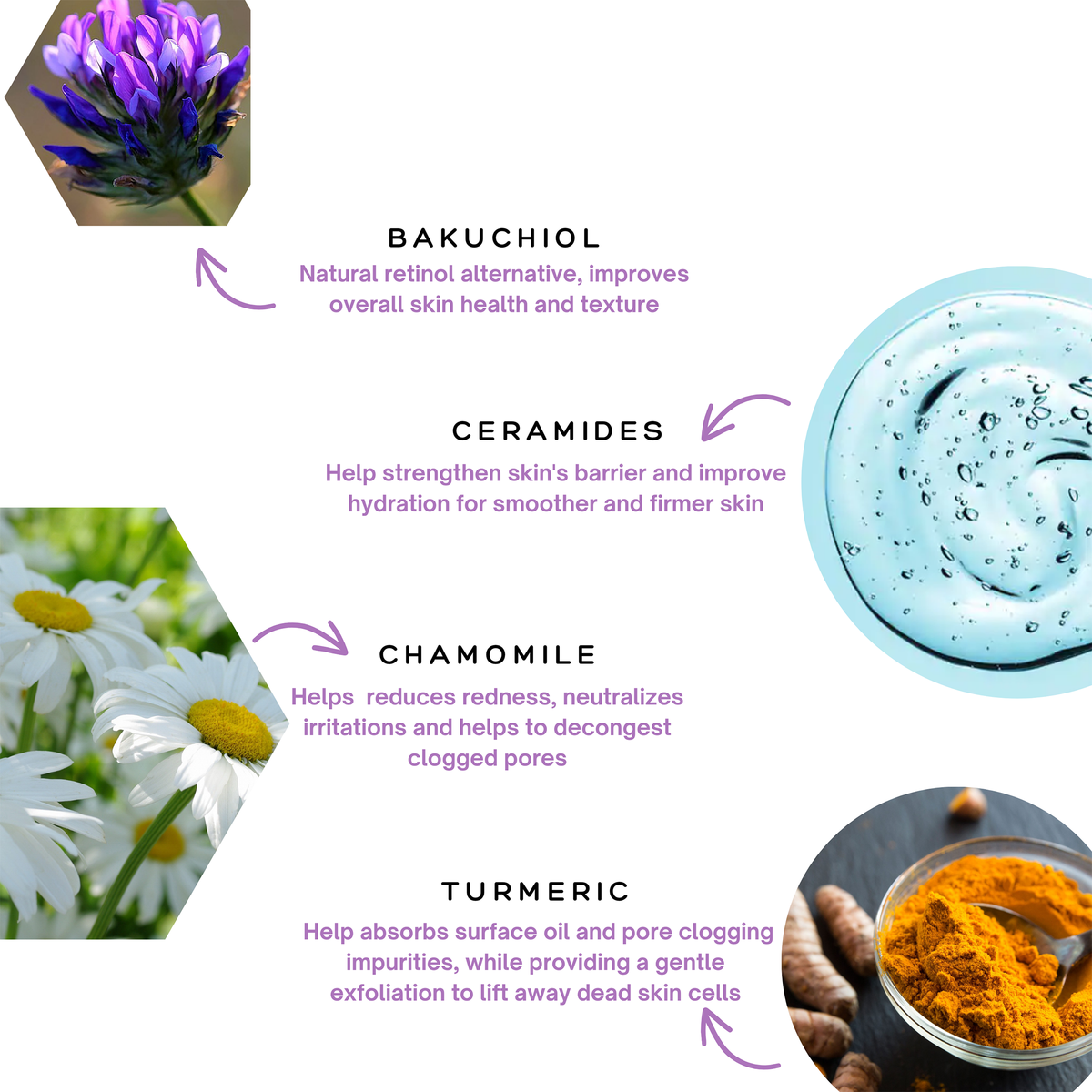 Infographic for the Spa Sciences Retinol Renewal Kit (Dry Skin) showing ingredients—bakuchiol, ceramides, chamomile, and turmeric—with their images and benefits.