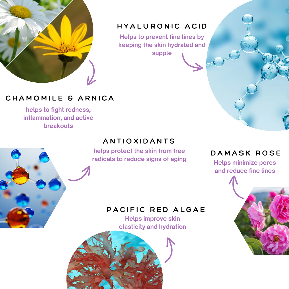 Infographic for the Spa Sciences Blemish Rescue Kit showing chamomile and arnica flowers, hyaluronic acid molecules, antioxidants, damask roses, and pacific red algae with their skin benefits.