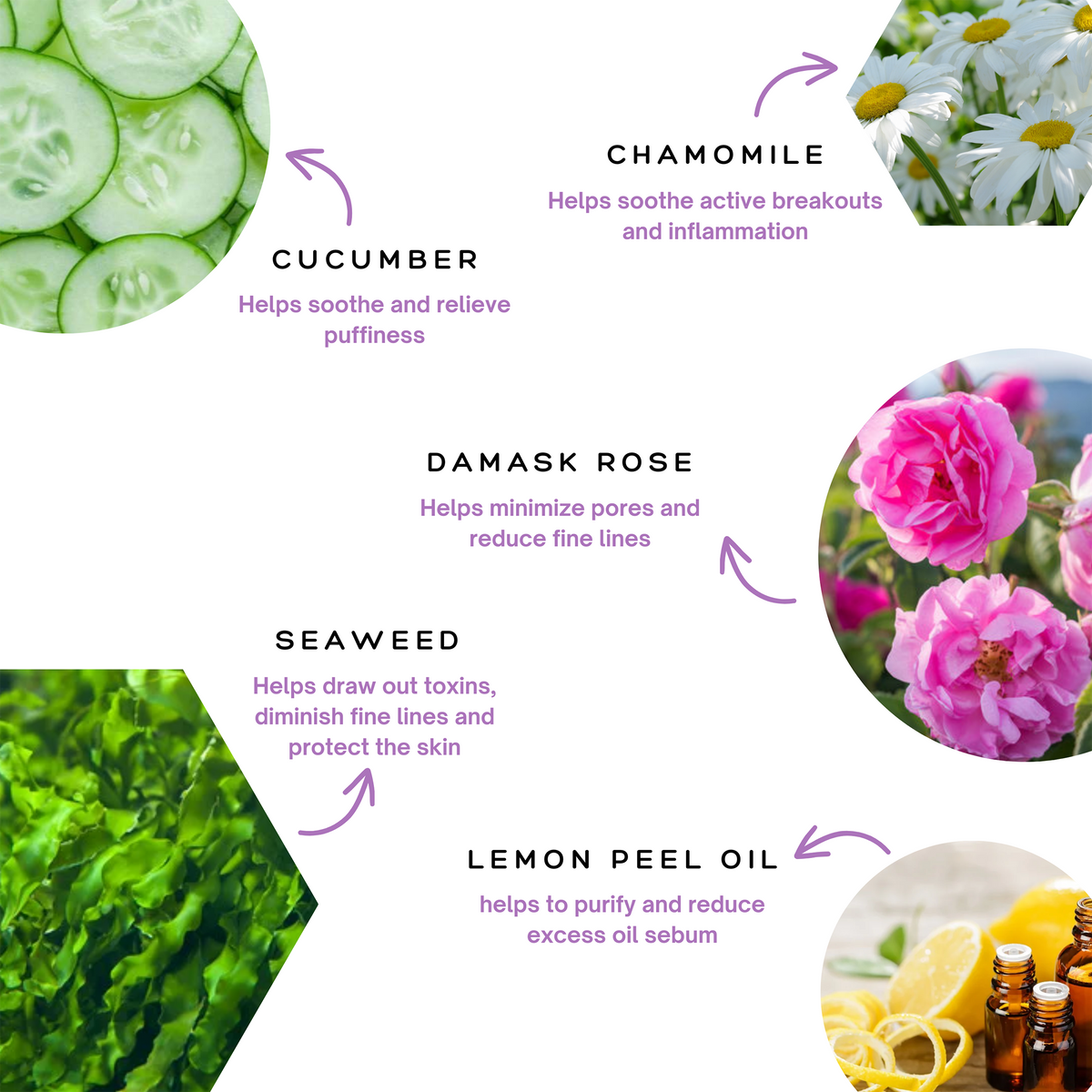 Infographic for the Spa Sciences Double Cleanse Duo showing five skincare ingredients—cucumber, chamomile, damask rose, seaweed, and lemon peel oil—with arrows pointing to their benefits.