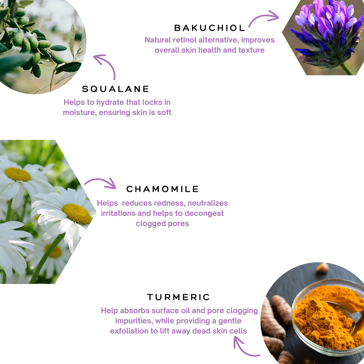 Spa Sciences Retinol Renewal Kit infographic listing skincare ingredients: Bakuchiol for texture, Squalane for hydration, Chamomile to reduce redness and decongest pores, and Turmeric to exfoliate.