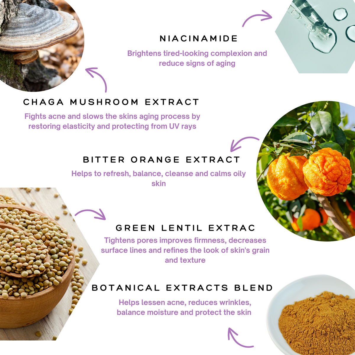 An infographic for the Retinol Renewal Kit (Oily Skin) showing ingredients—niacinamide, chaga mushroom, bitter orange, green lentil, and botanical extracts—with images and their skin benefits.