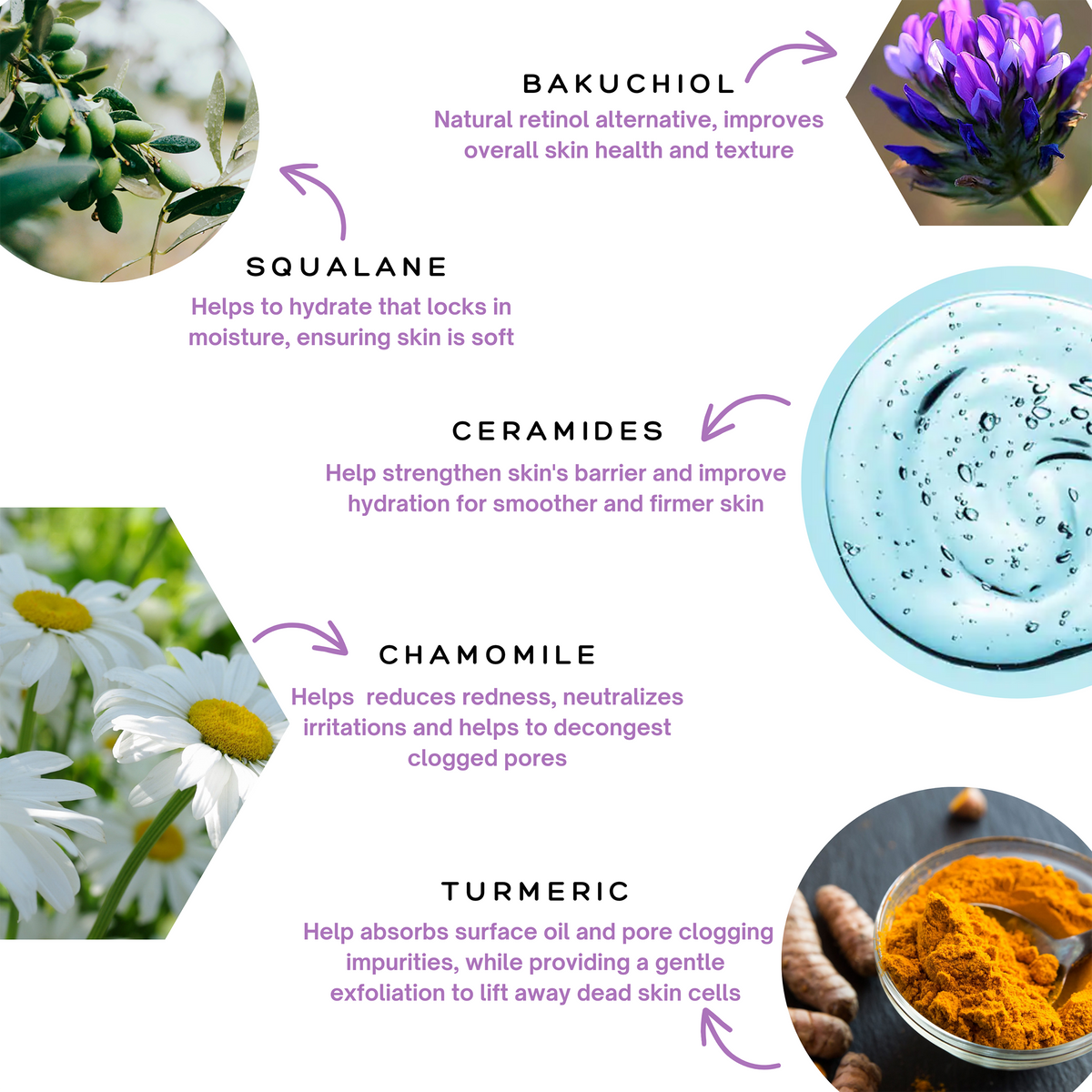 Infographic for the Spa Sciences Skin Cycling Kit (Dry Skin) showing five skincare ingredients—bakuchiol, squalane, ceramides, chamomile, and turmeric—with their natural sources and benefits.