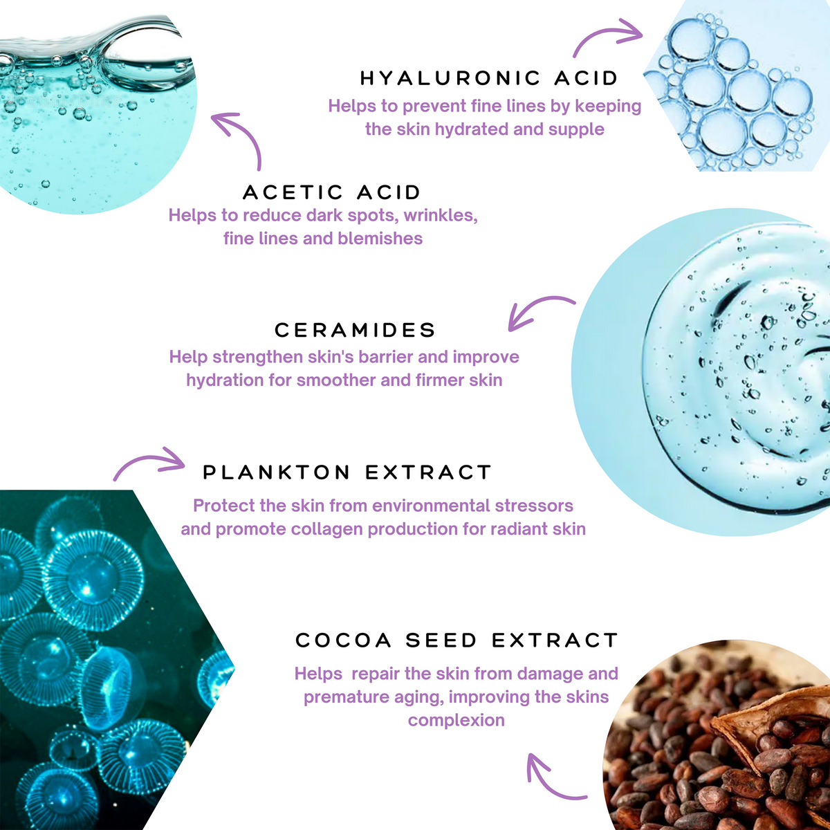 Infographic for the Spa Sciences Skin Cycling Kit (Oily Skin) illustrating the benefits of hyaluronic acid, acetic acid, ceramides, plankton extract, and cocoa seed extract.