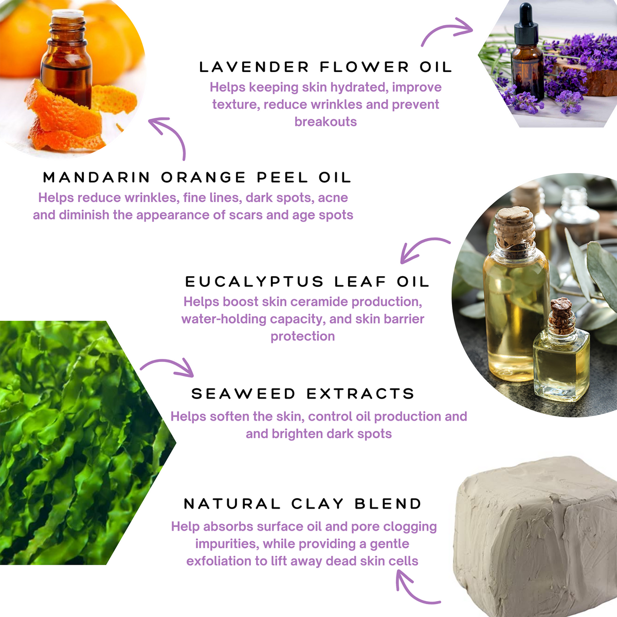 Diagram of the Spa Sciences Skin Cycling Kit (Oily Skin) showing mandarin orange peel oil, lavender flower oil, eucalyptus leaf oil, seaweed extracts, and a clay blend with their benefits.