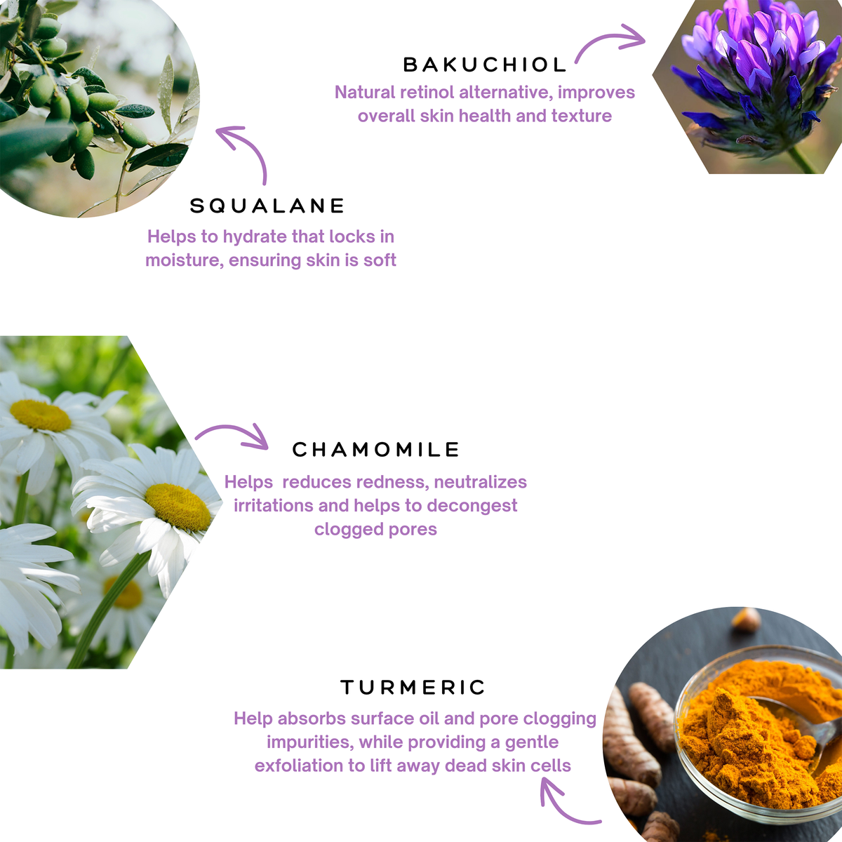 Infographic for the Spa Sciences Skin Cycling Kit (Oily Skin) showing botanical ingredients squalane, bakuchiol, chamomile, and turmeric with text describing their skin health benefits.