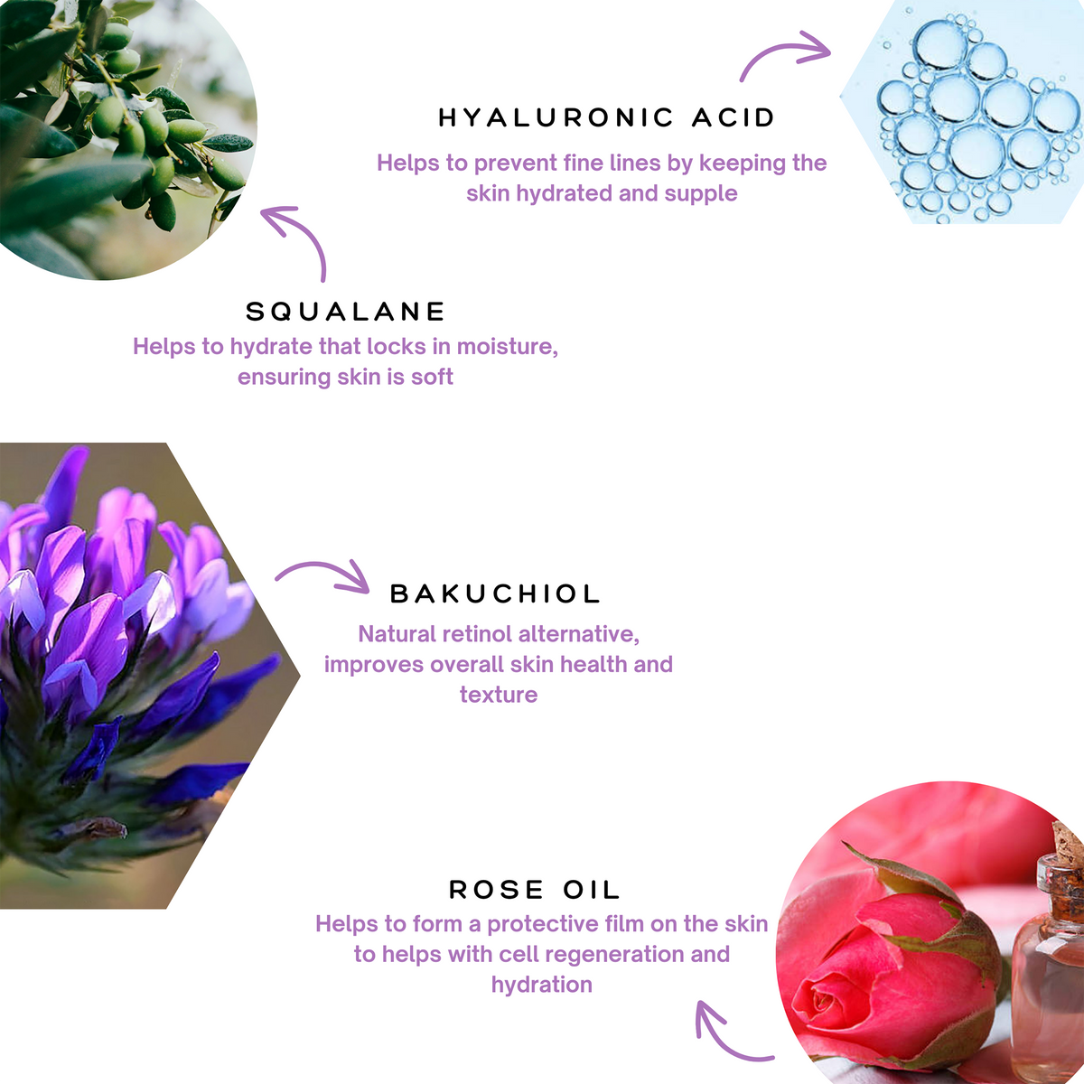 An infographic for the Spa Sciences Skin Cycling Kit (Dry Skin) detailing four skincare ingredients—squalane, hyaluronic acid, bakuchiol, and rose oil—and their associated skin benefits.