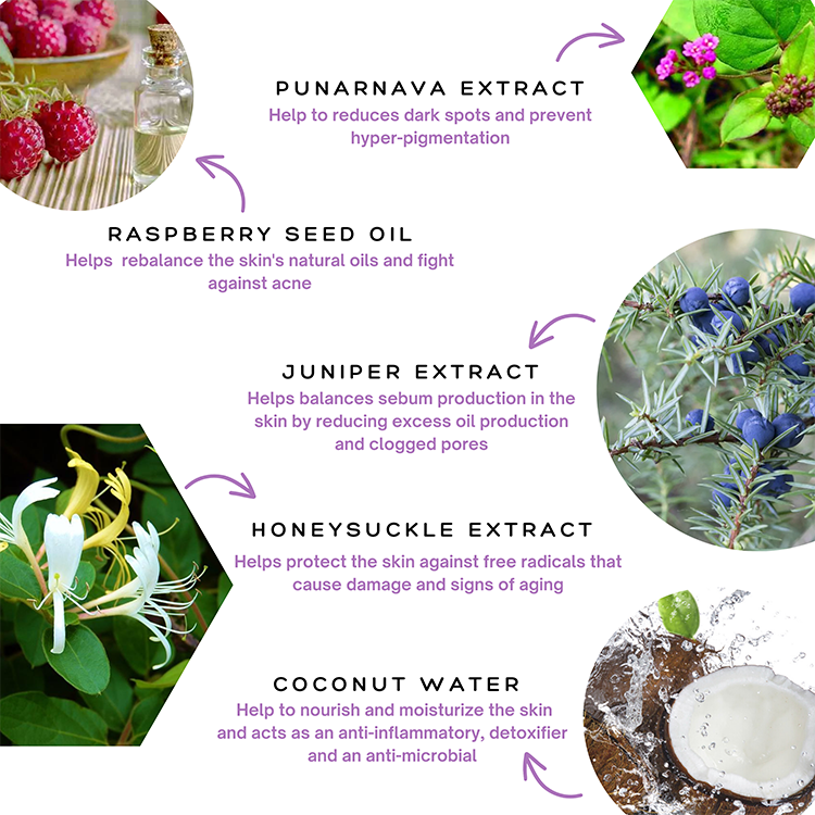A poster showcasing the benefits of various herbs and plants for hydration and elasticity featuring Spa Sciences Overnight Mask.