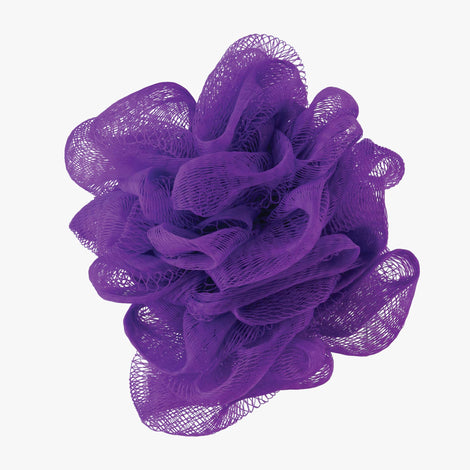 A purple flower on a white background enhanced by Spa Sciences NERA Replacement Loofa Head powered technology.